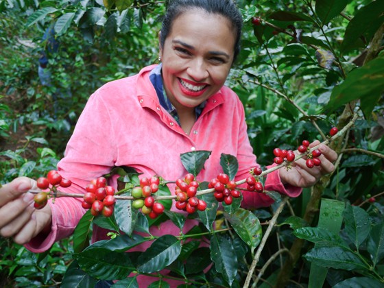 CoffeeCherries