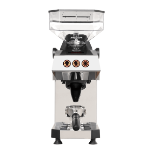 Swan thumbnail, showing head-on